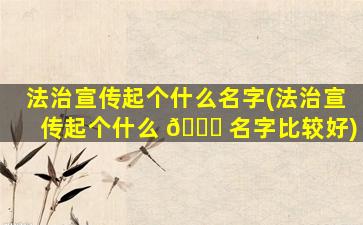 法治宣传起个什么名字(法治宣传起个什么 🐎 名字比较好)